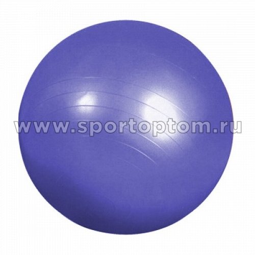 Мяч гимнастический АСТ АСТ55                     55 см Фиолетовый